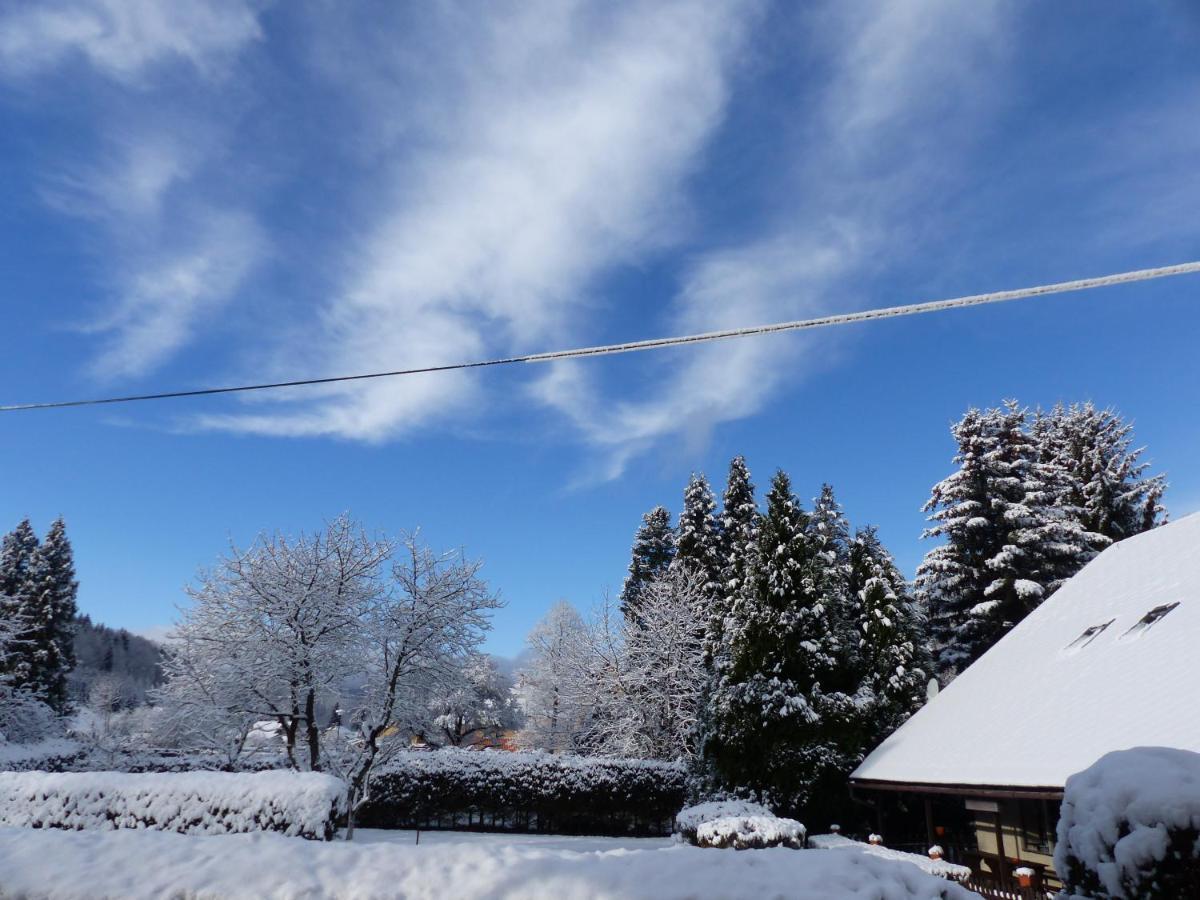 Apartmany Plischke ลิโปวา ลาสเนีย ภายนอก รูปภาพ